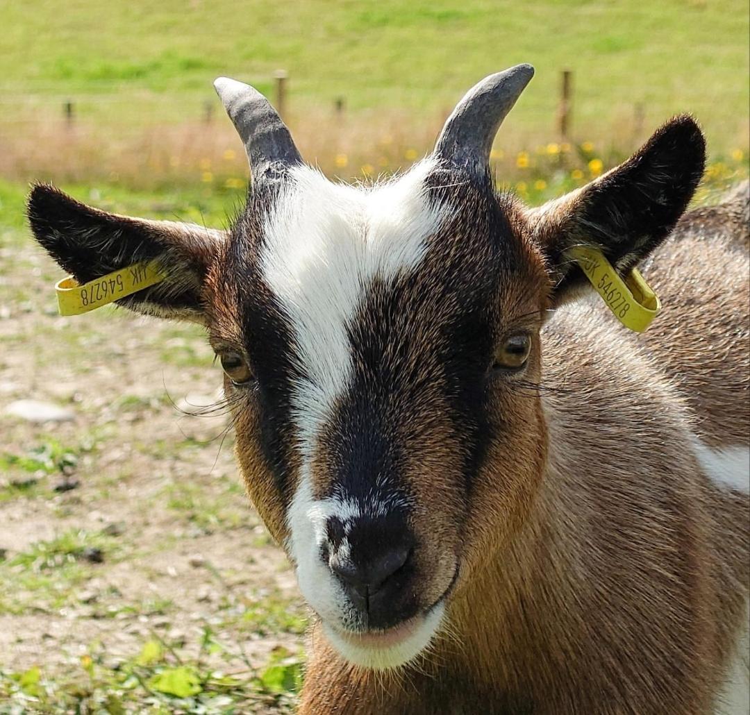 Отель Tomnauld Farm Питлохри Экстерьер фото