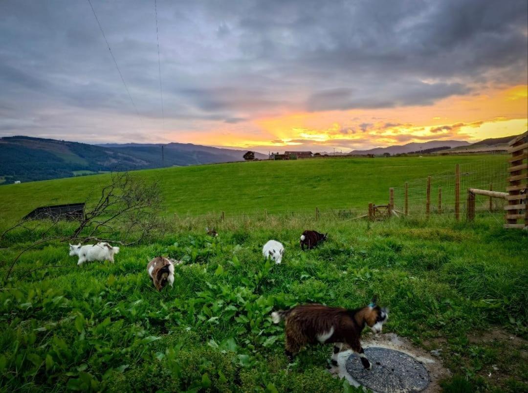 Отель Tomnauld Farm Питлохри Экстерьер фото